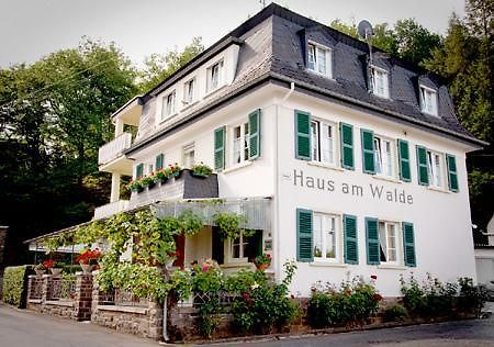 Pension "Haus Am Walde" Brodenbach, Mosel Exteriér fotografie