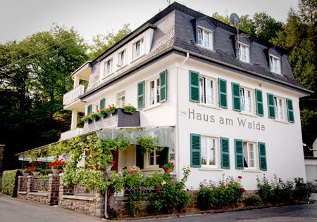 Pension "Haus Am Walde" Brodenbach, Mosel Exteriér fotografie