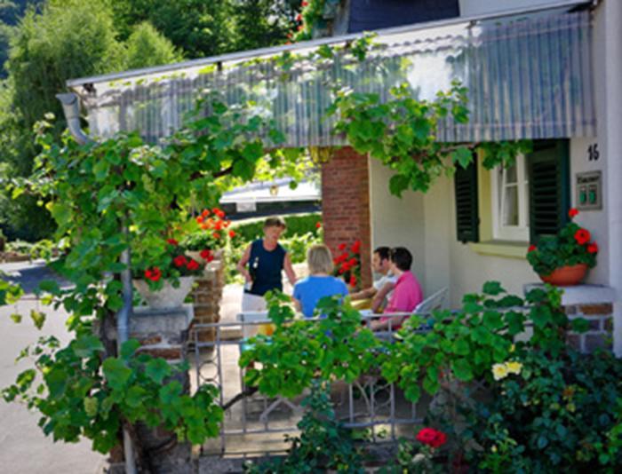 Pension "Haus Am Walde" Brodenbach, Mosel Exteriér fotografie