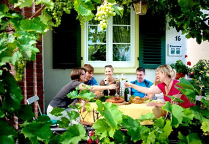 Pension "Haus Am Walde" Brodenbach, Mosel Exteriér fotografie
