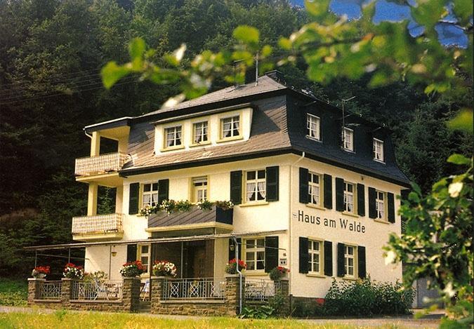 Pension "Haus Am Walde" Brodenbach, Mosel Exteriér fotografie