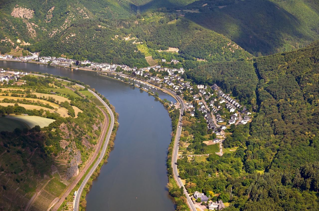 Pension "Haus Am Walde" Brodenbach, Mosel Exteriér fotografie