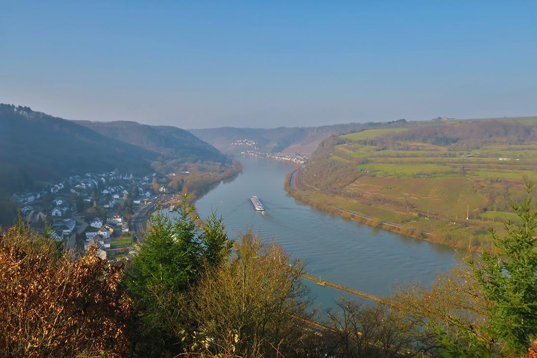 Pension "Haus Am Walde" Brodenbach, Mosel Exteriér fotografie