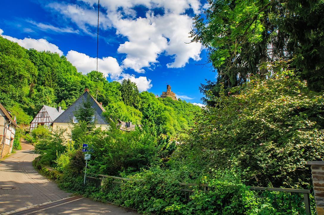 Pension "Haus Am Walde" Brodenbach, Mosel Exteriér fotografie