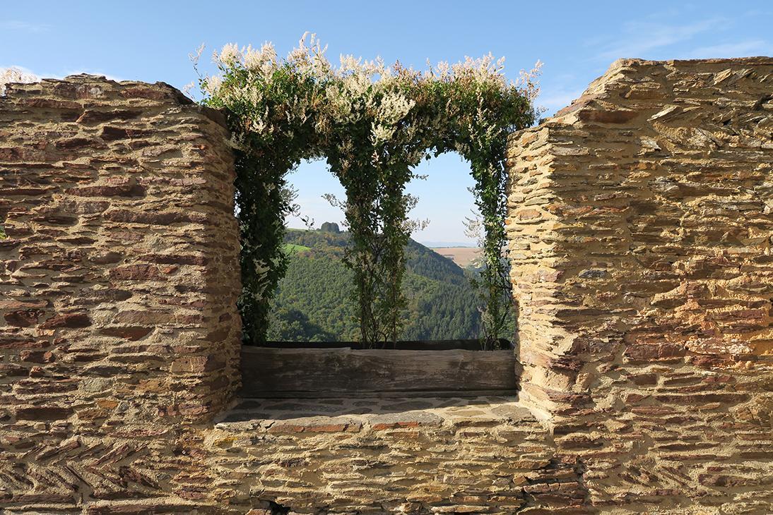 Pension "Haus Am Walde" Brodenbach, Mosel Exteriér fotografie
