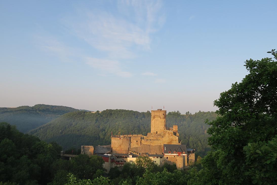 Pension "Haus Am Walde" Brodenbach, Mosel Exteriér fotografie